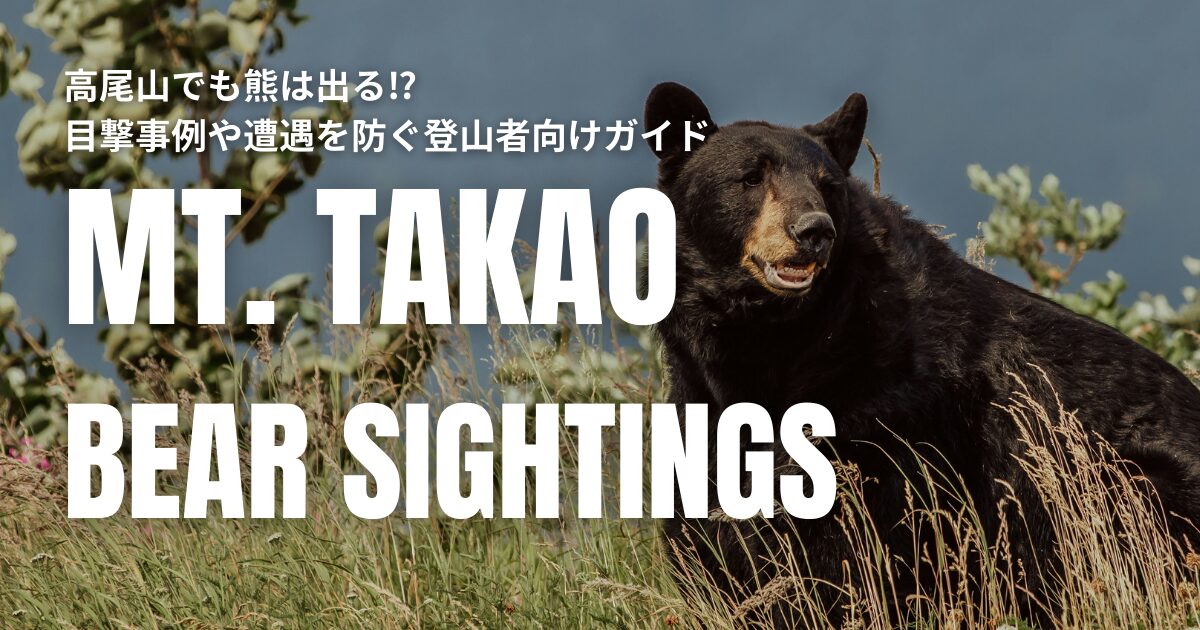 高尾山 熊